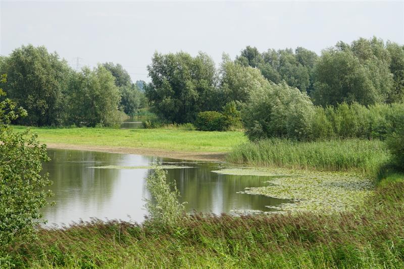 Grote Bloem