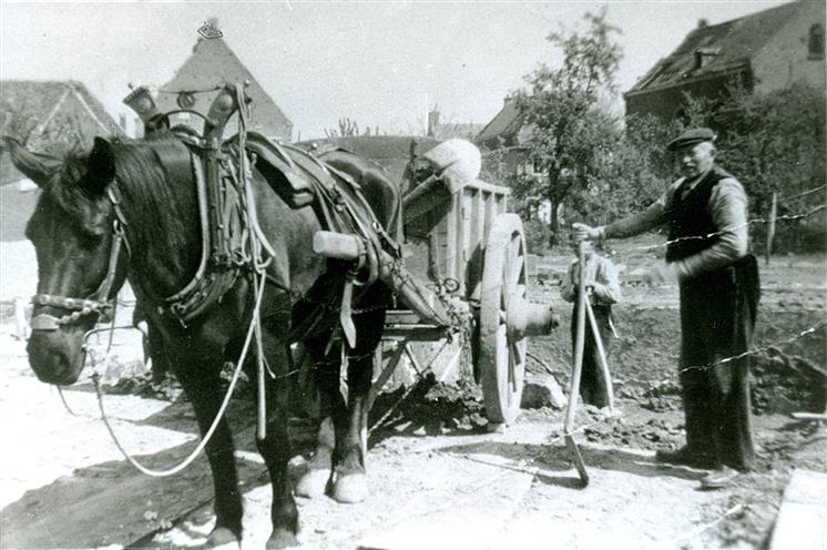 18738811 1926524354296079 3553276283667056684 o Custom